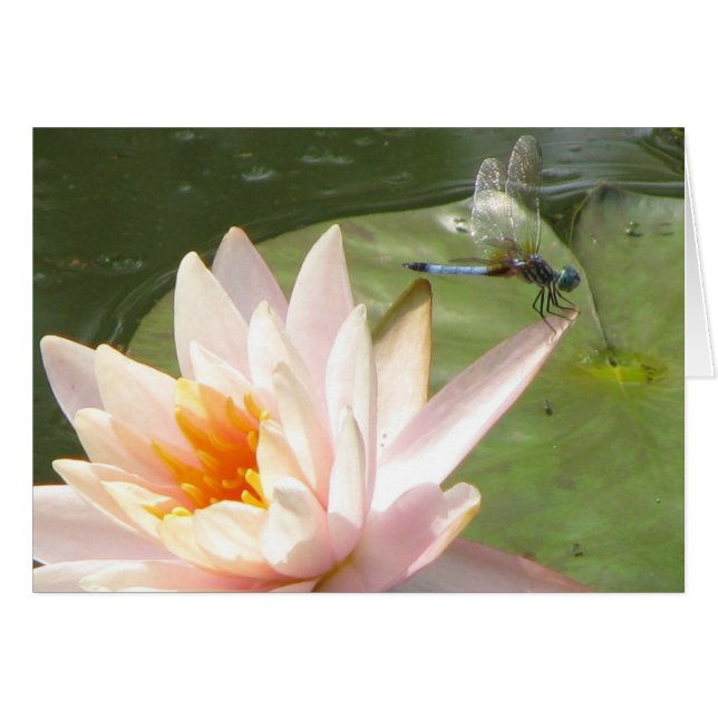 Volante de dragón (Anverso (Horizontal))