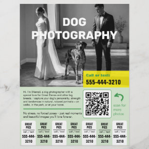 Volante de Fotógrafo de Perros