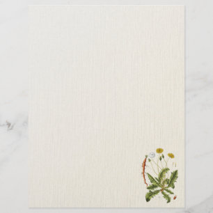 Volante de Ilustracion de Dandelion