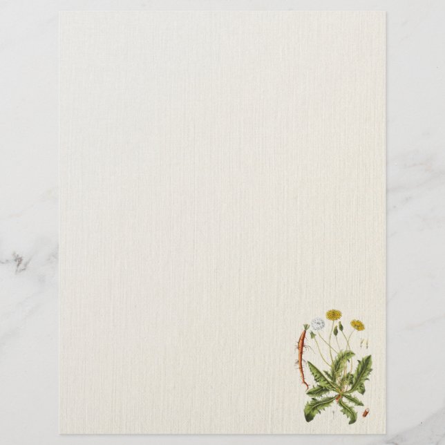 Volante de Ilustracion de Dandelion (Frente)