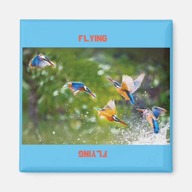 Volante de imanes (Frente)