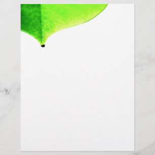 Volante de permiso verde