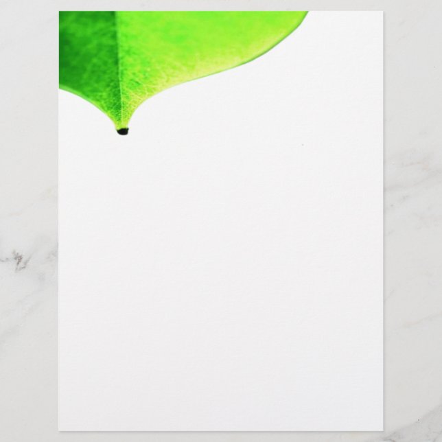 Volante de permiso verde (Frente)