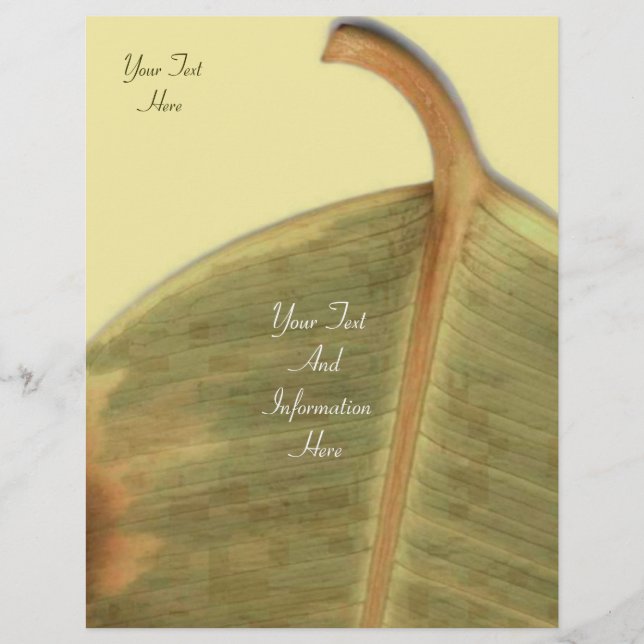 Volante de permiso verde (Frente)