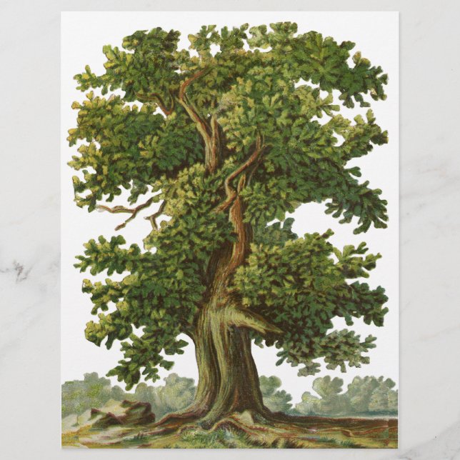 Volante de Personalizado de roble vintage (Frente)