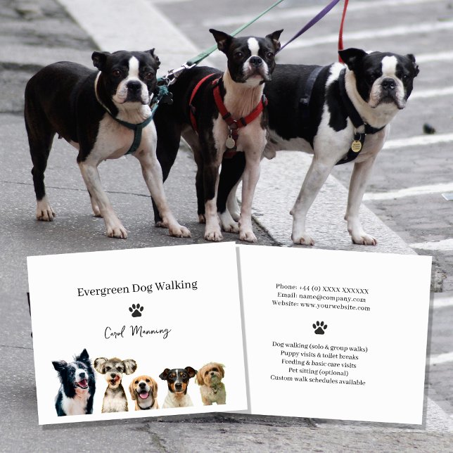 Volante de Servicio de Paseo de Perros Profesional (Subido por el creador)