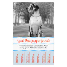 Volante de venta de cachorros