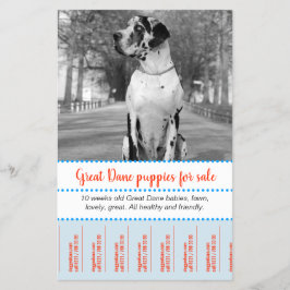 Volante de venta de cachorros