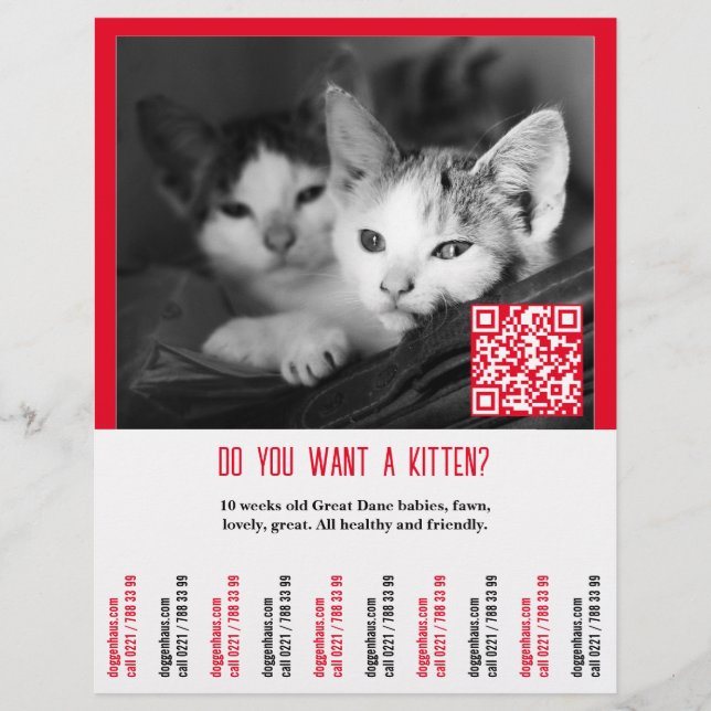 Volante de venta de gatitos (Frente)