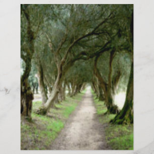 Volante del Jardín de Olivos