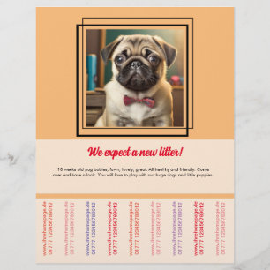 Volante para vender Pug