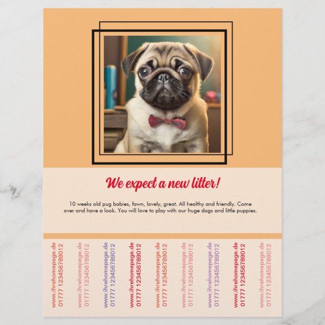 Volante para vender Pug (Frente)