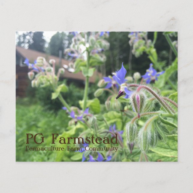 Volante PG Farmstead (Frente)