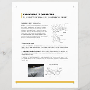 Volante ROF (equino)