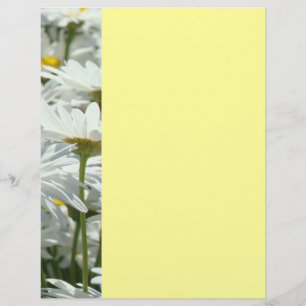 Volantes de Eventos de Verano Fiestas Flores Daisy