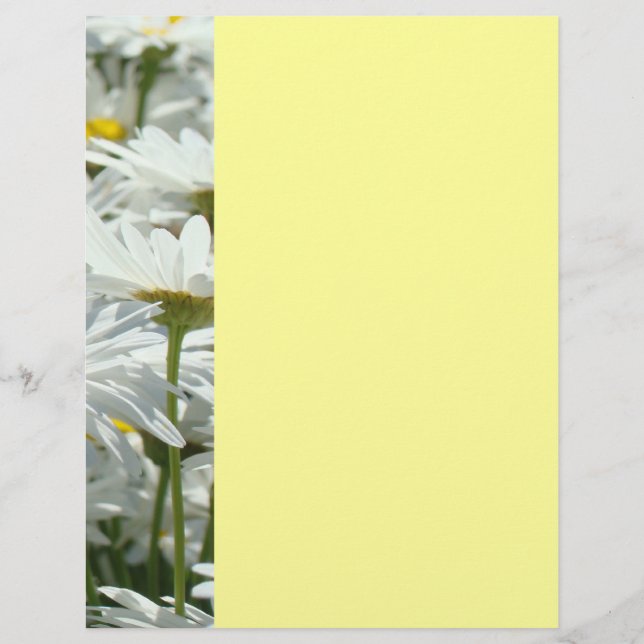 Volantes de Eventos de Verano Fiestas Flores Daisy (Frente)