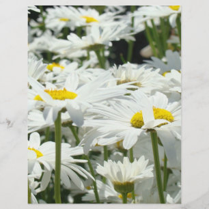 Volantes de papel con tema de Flor de Margarita Of