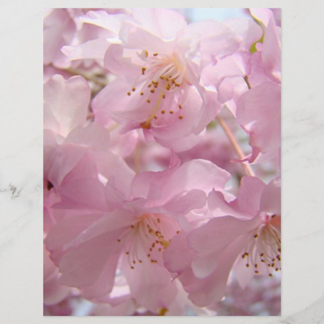 Volantes de papel de flores rosadas personalizadas (Frente)