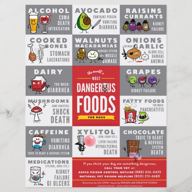 Volantes - La comida más peligrosa para perros del (Frente)