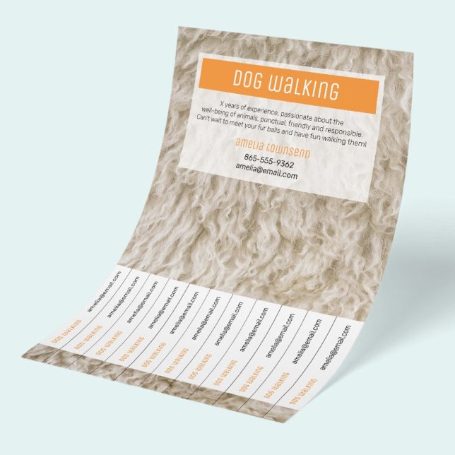 Volantes para Paseadores de Perros Profesionales A (Vibrant colorful advetising flyer for dog walking business with tearable tabs with contact info.)