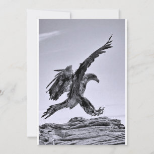Volar a mi fiesta - Invitación