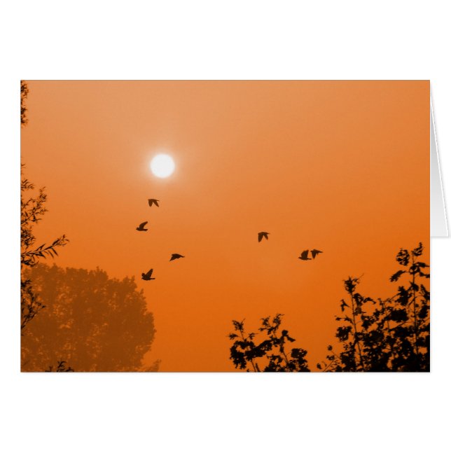 Volar con la tarjeta del amanecer (Anverso (Horizontal))