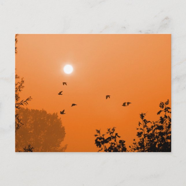 Volar en la tarjeta postal del amanecer (Anverso)