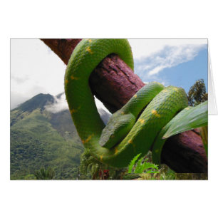 Volcán y serpiente de Costa Rica