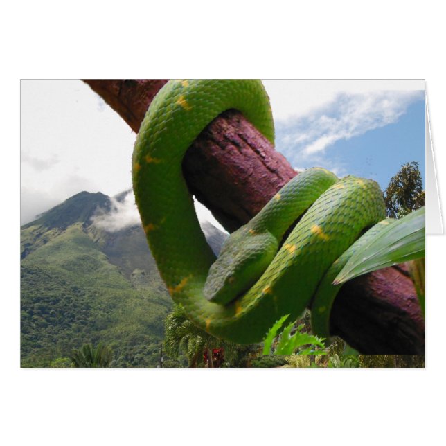 Volcán y serpiente de Costa Rica (Anverso (Horizontal))