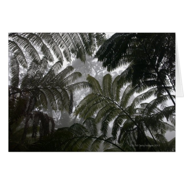 Volcanes de Hawaii, isla grande, Hawaii nacionales (Anverso (Horizontal))