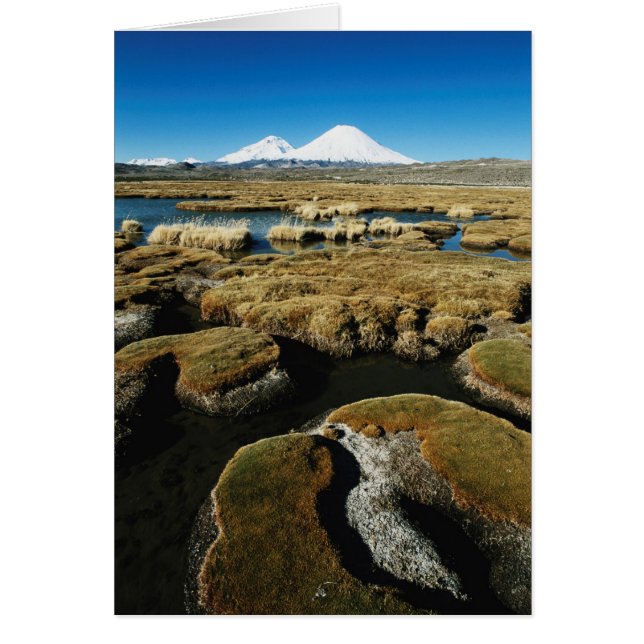 Volcanes Payachalas (Frente)