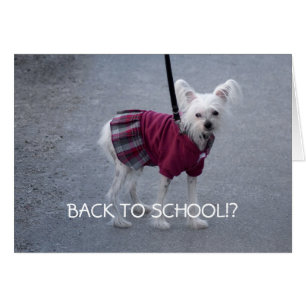 Volver a la escuela