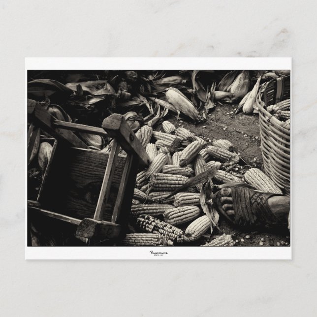 VOLVER A LA postal BÁSICA (Anverso)