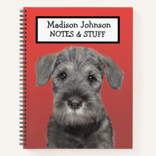 Volver al cuaderno Schnauzer escolar