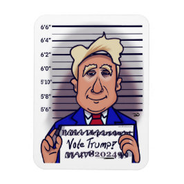 Votar por un imán flexible de Trump