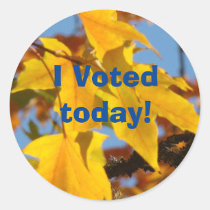 ¡Voté hoy! pegatinas que votan a los pegatinas d