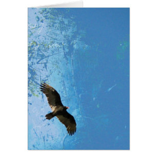 Vuelo