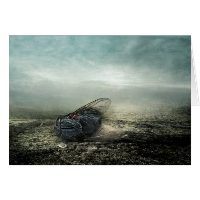 Vuelo 2013 (Anverso (Horizontal))