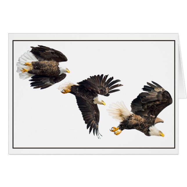 Vuelo de águila calva (Anverso (Horizontal))