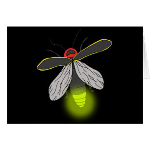 vuelo de bicho de rayo iluminado