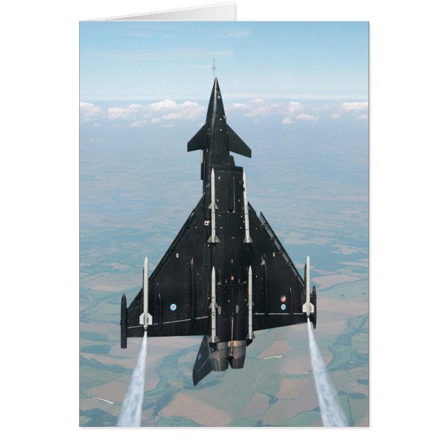 VUELO VERTICAL (Frente)