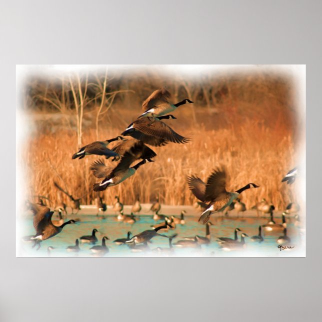 VUELOS DE IMPRESIÓN DE FANCY (Frente)