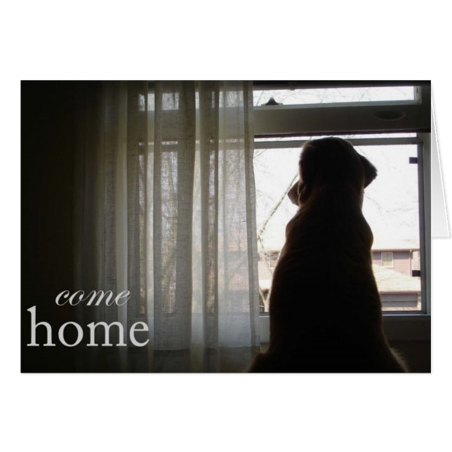 Vuelva a casa (Anverso (Horizontal))