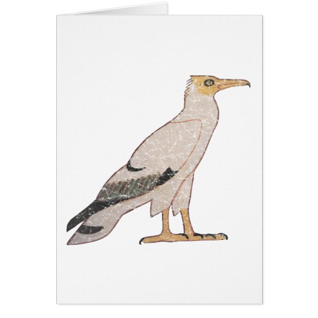 Vulnerabilidad (Frente)