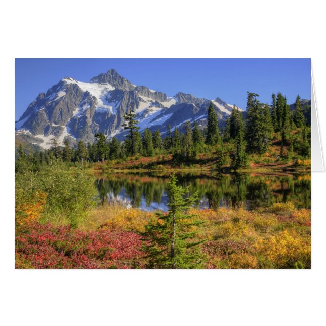WA, Área Recreativa Heather Meadows, Mt. 2 (Anverso (Horizontal))