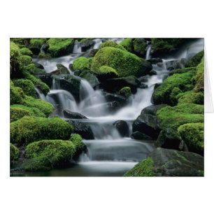 WA, Parque Nacional Olímpico, Valle de Sol Duc, ar