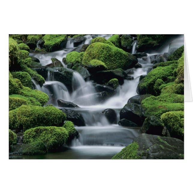 WA, Parque Nacional Olímpico, Valle de Sol Duc, ar (Anverso (Horizontal))