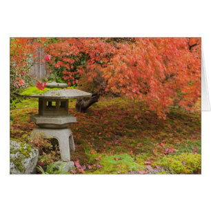 WA, Seattle, Washington Park Arboretum, Japón 2