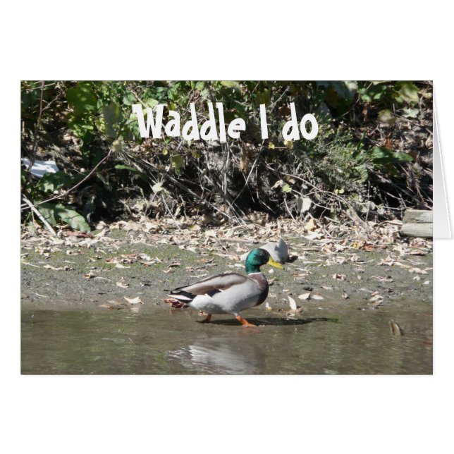 Waddle I do (Anverso (Horizontal))