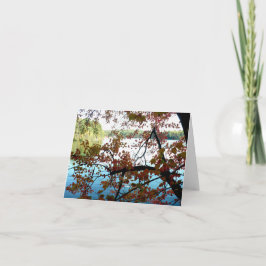 Walden Pond a través de hojas de otoño